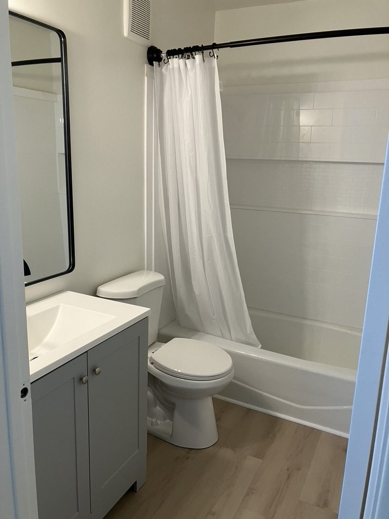 Bathroom after remodel — new vanity, toilet, tub surround, and flooring
