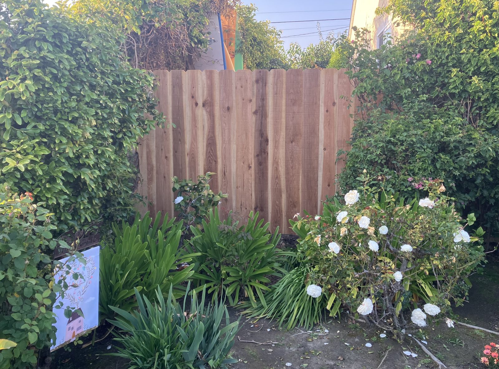 New privacy fence and gate